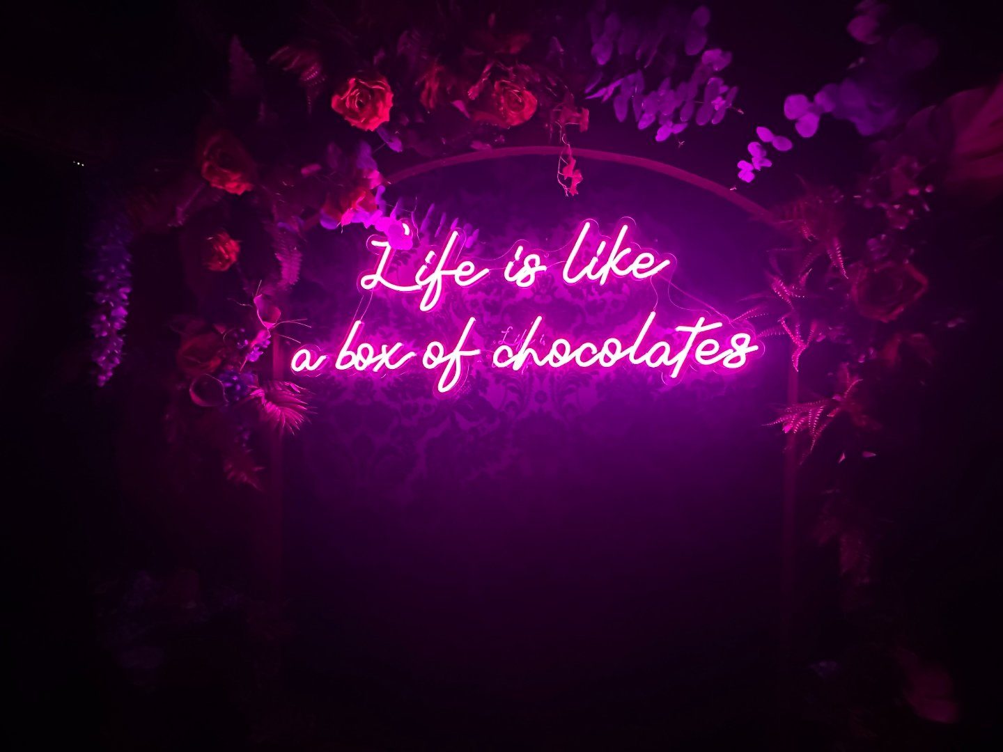 Neon sign reading Life is like a box of chocolates in the entrance hallway of Wildcard Bar